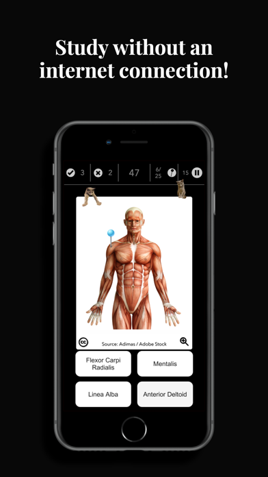 Anatomy Quiz Pro app screenshot 3