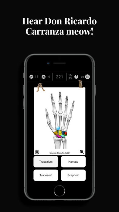 Anatomy Quiz Pro app screenshot 4
