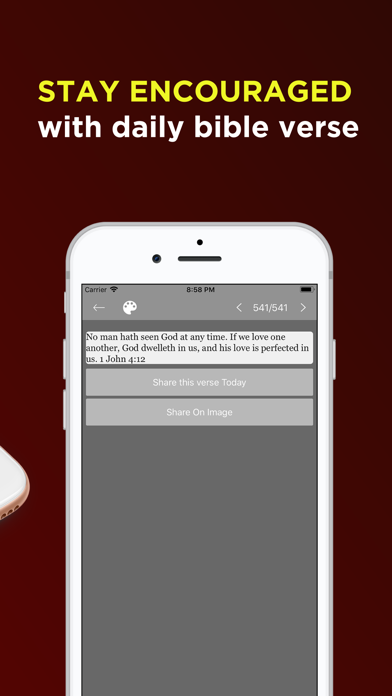 Bible Offline-KJV Holy Bible app screenshot 4