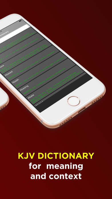 Bible Offline-KJV Holy Bible app screenshot 7