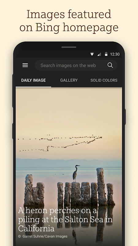 Bing Wallpapers app screenshot 3