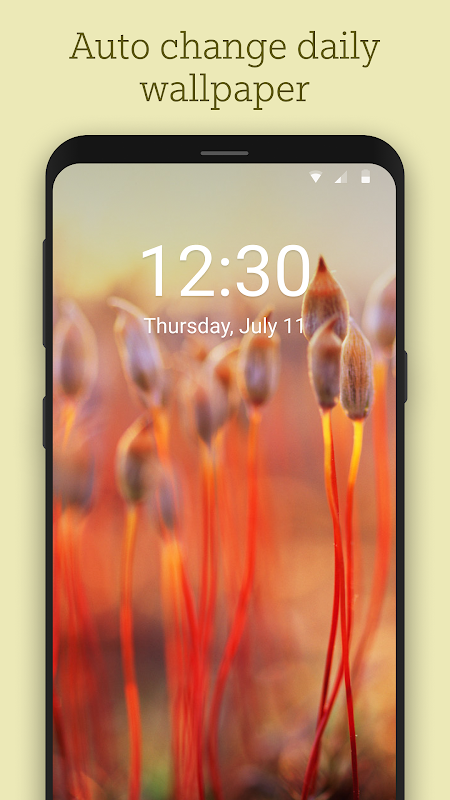 Bing Wallpapers app screenshot 4