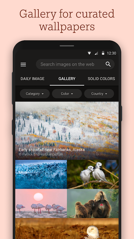 Bing Wallpapers app screenshot 6