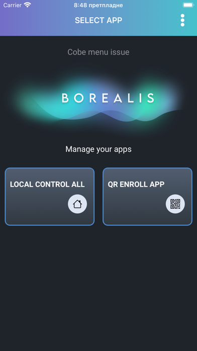 Borealis – Icon Pack app screenshot 1