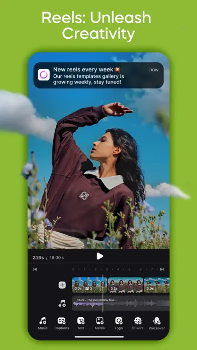 Canva: Design, Photo & Video app screenshot 1