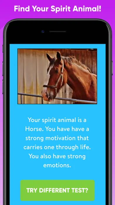 Cash Quiz – Animal Edition app screenshot 2