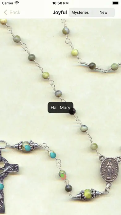 Catholic Missal Offline app screenshot 7