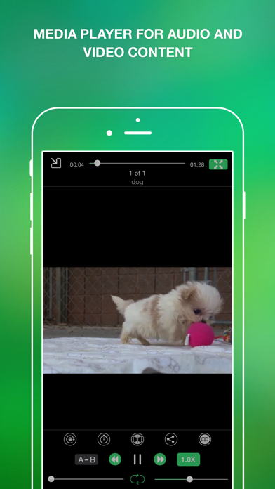 Chief File Officer app screenshot 4