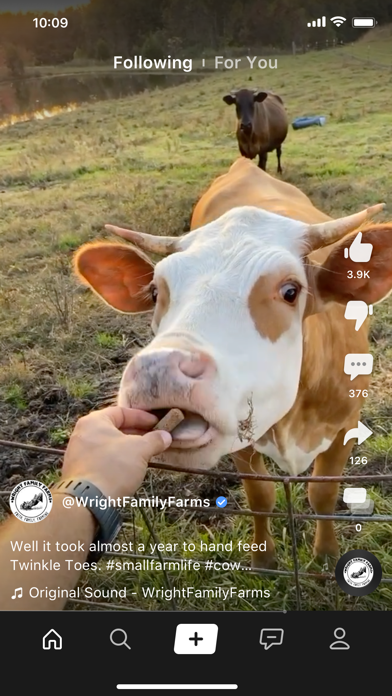 Clapper: Video, Live, Chat app screenshot 3