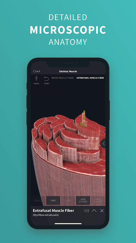 Complete Anatomy app screenshot 2