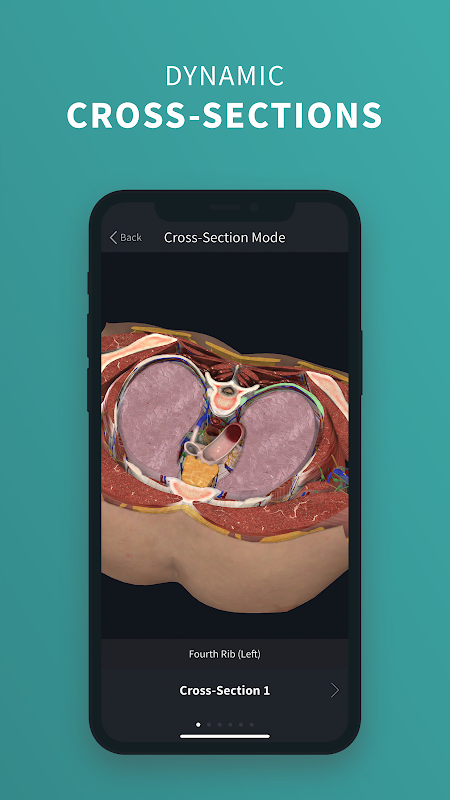 Complete Anatomy app screenshot 4