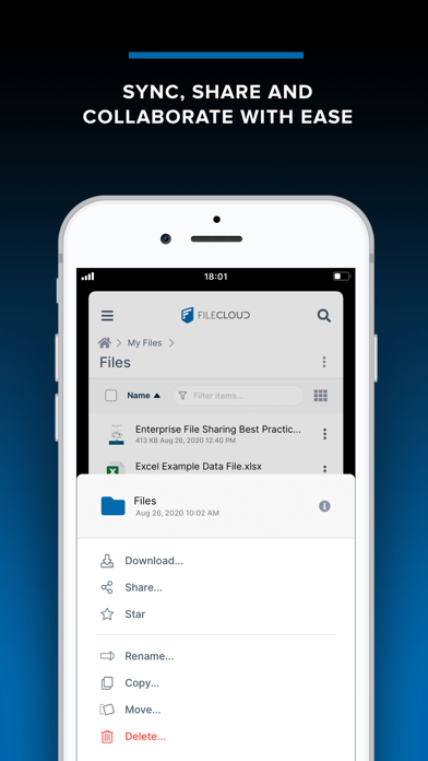 Egnyte app screenshot 2