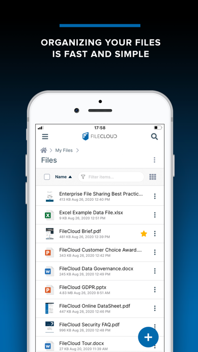 Egnyte app screenshot 3