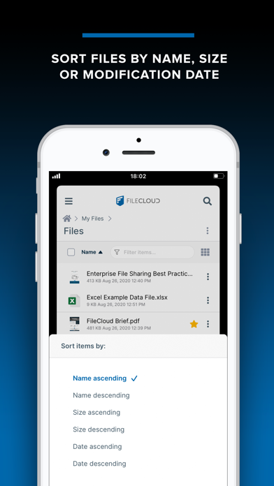 Egnyte app screenshot 6