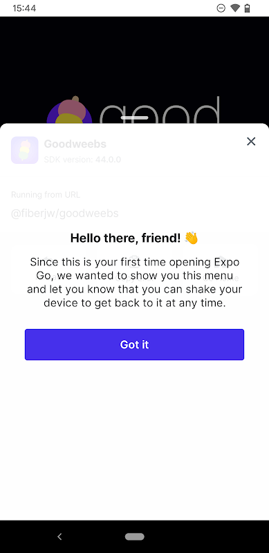 Expo Go app screenshot 3