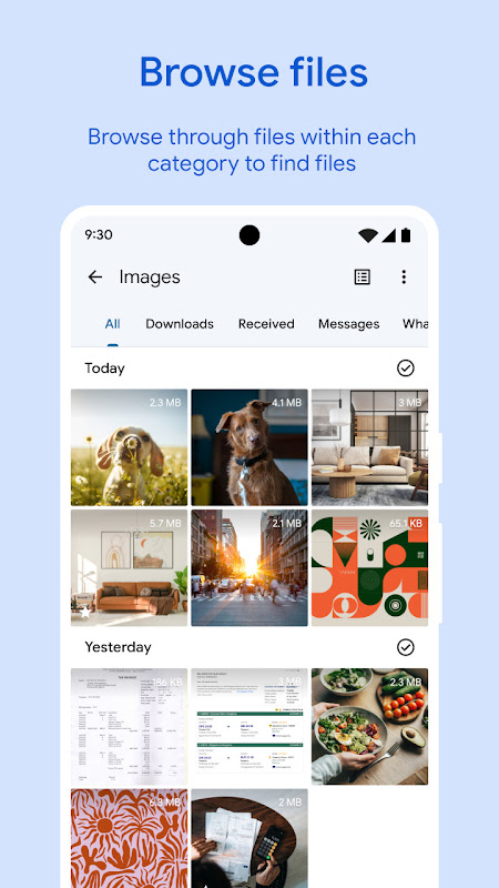 Files by Google app screenshot 2
