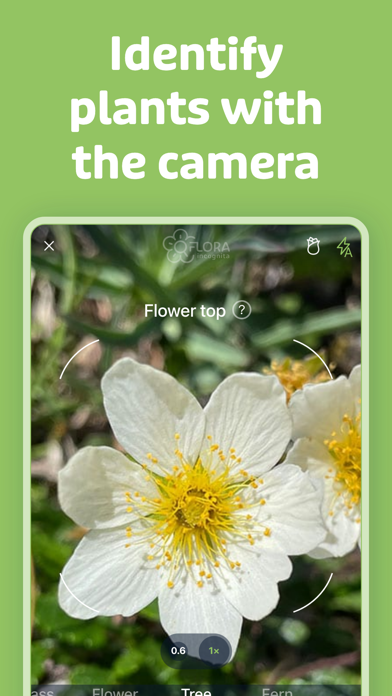 Flora Elegant Multicolor NXV84 app screenshot 2
