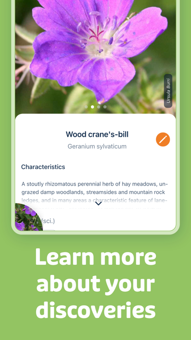 Flora Elegant Multicolor NXV84 app screenshot 3