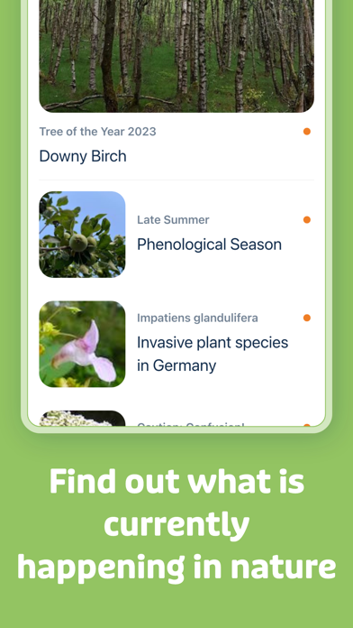 Flora Elegant Multicolor NXV84 app screenshot 5