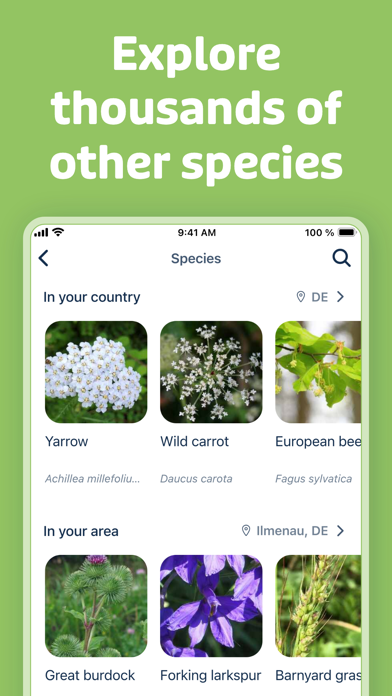 Flora Elegant Multicolor NXV84 app screenshot 6