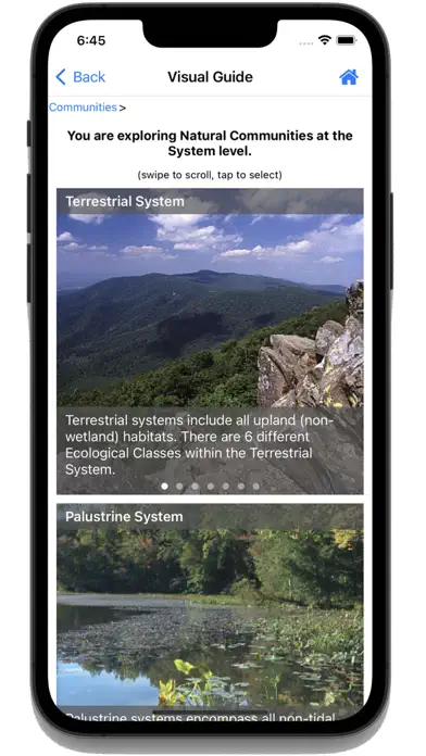 Flora of Virginia app screenshot 3