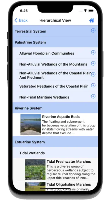 Flora of Virginia app screenshot 7