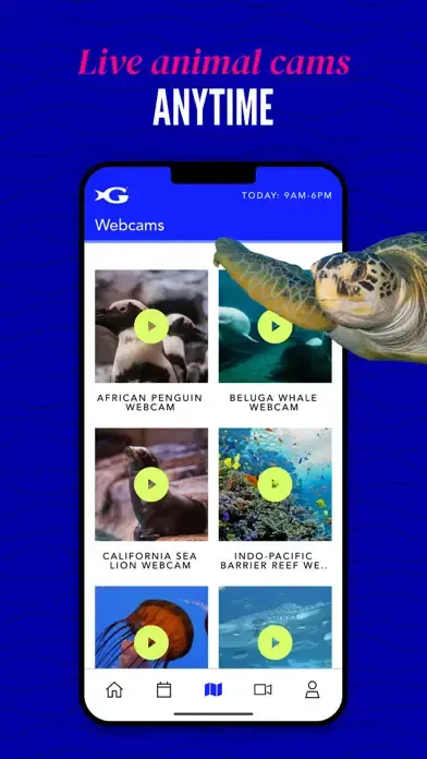 Georgia Aquarium Explorer app screenshot 4