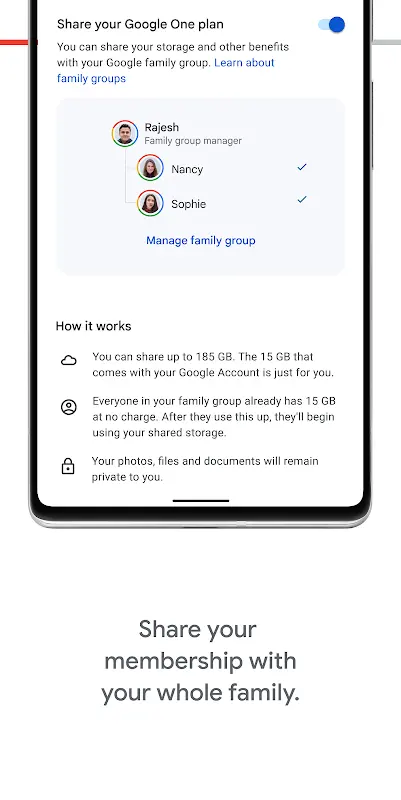 Google One app screenshot 3