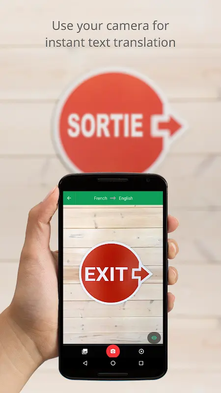 Google Translate app screenshot 2