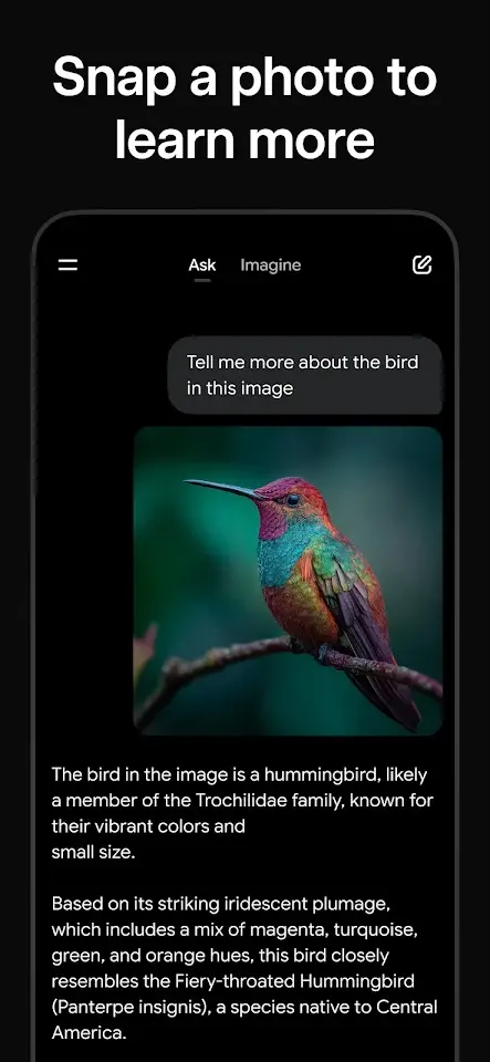 Grok app screenshot 4