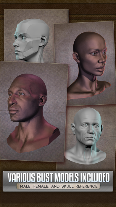 Handy Art Reference Tool app screenshot 2