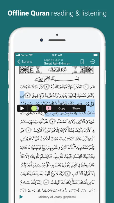 Holy Quran Offline Reading app screenshot 1