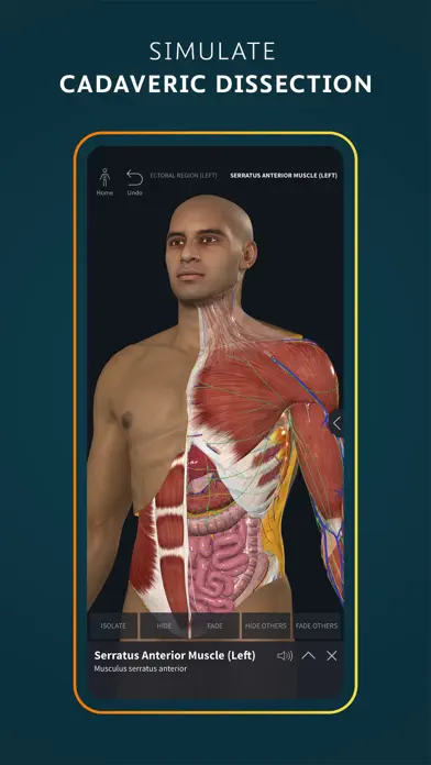 Human Anatomy Atlas 2025 app screenshot 2