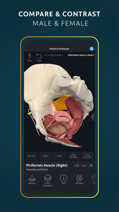 Human Anatomy Atlas 2025 app screenshot 4