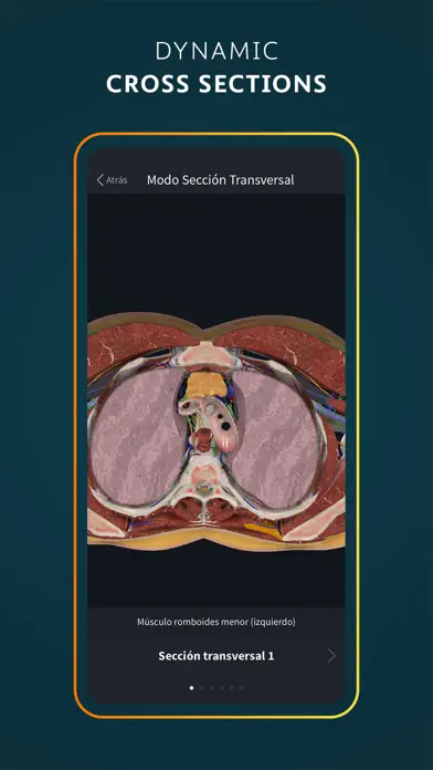 Human Anatomy Atlas 2025 app screenshot 7
