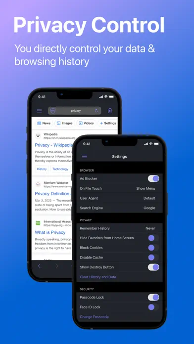 Internet Browser (TV) app screenshot 3