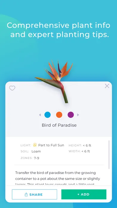 Lily’s Garden – Design & Relax app screenshot 5