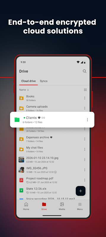 MEGA app screenshot 2