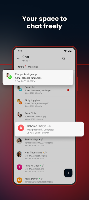MEGA app screenshot 4