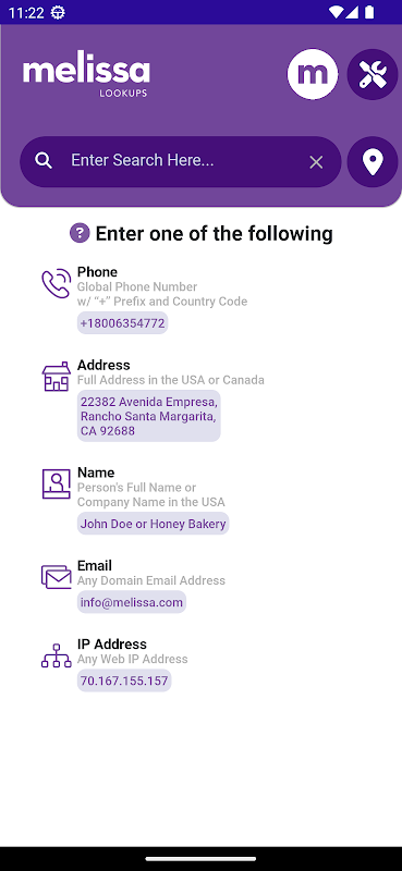 Melissa Lookups app screenshot 1