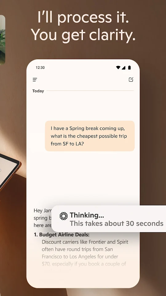 ​​Microsoft Copilot app screenshot 7