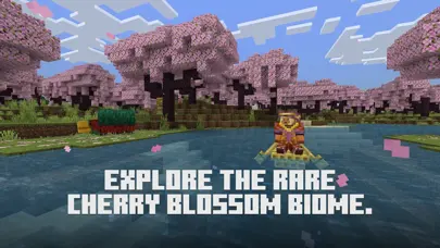 Minecraft app screenshot 4