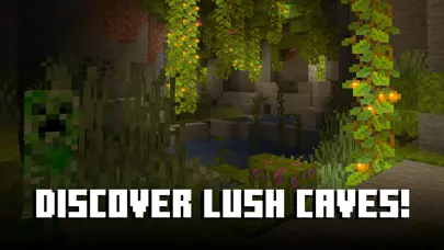 Minecraft app screenshot 6