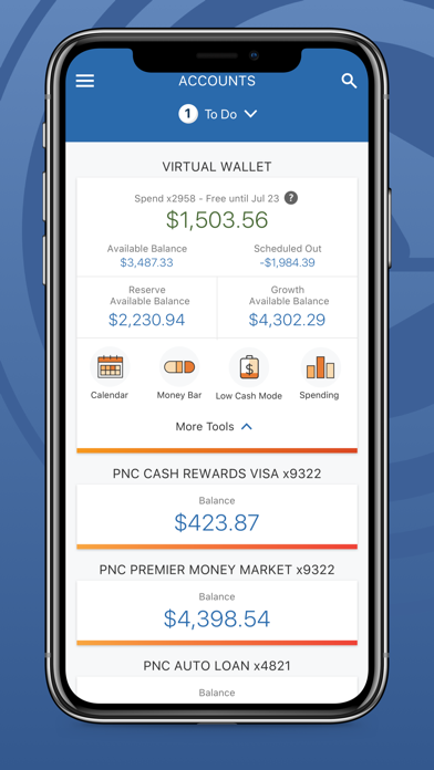Nationwide Banking App app screenshot 1