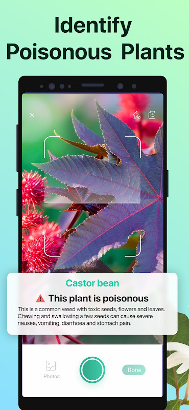 PictureThis – Plant Identifier app screenshot 3