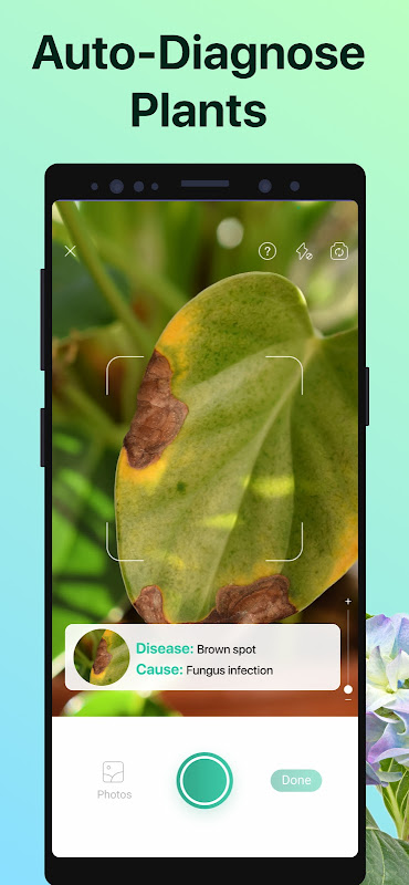 PictureThis – Plant Identifier app screenshot 6