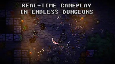 Pocket Rogues: Ultimate app screenshot 1