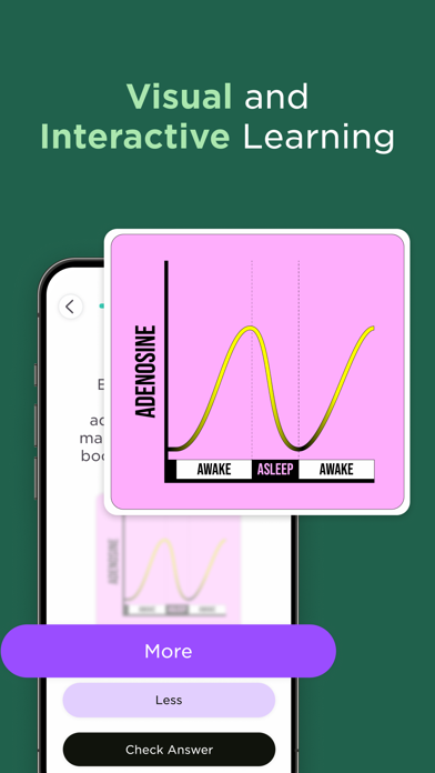 Primer | Adaptive Learning app screenshot 2