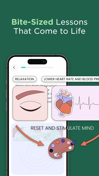 Primer | Adaptive Learning app screenshot 4