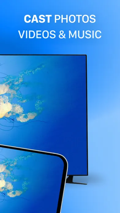 Screen Mirroring Pro App app screenshot 2